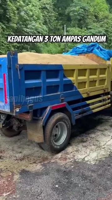Kedatangan-3-Ton-Ampas-Gandum